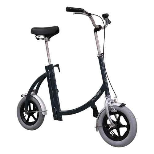 Van Raam Loophulp City