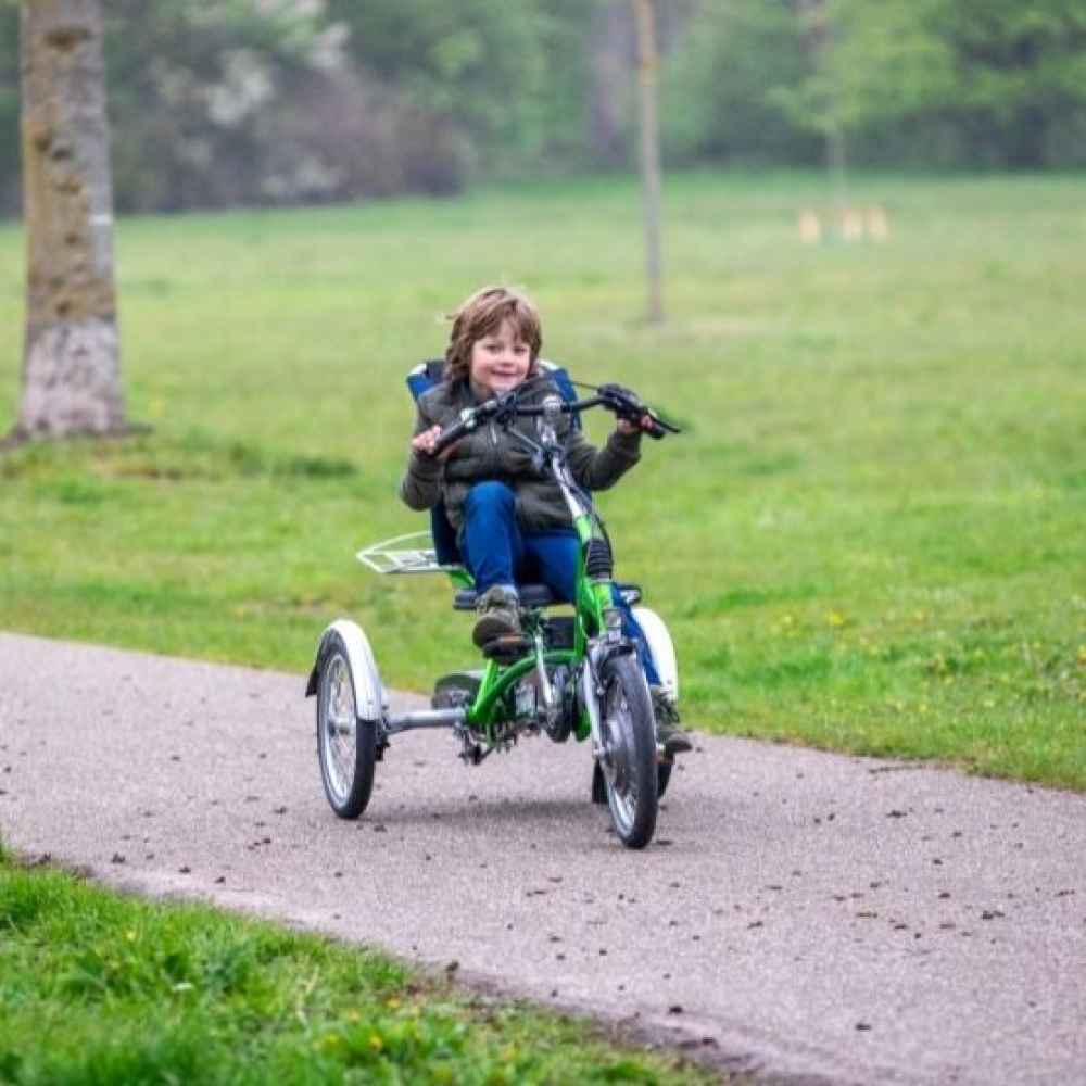 Van Raam Easy Rider Junior - Afbeelding 2